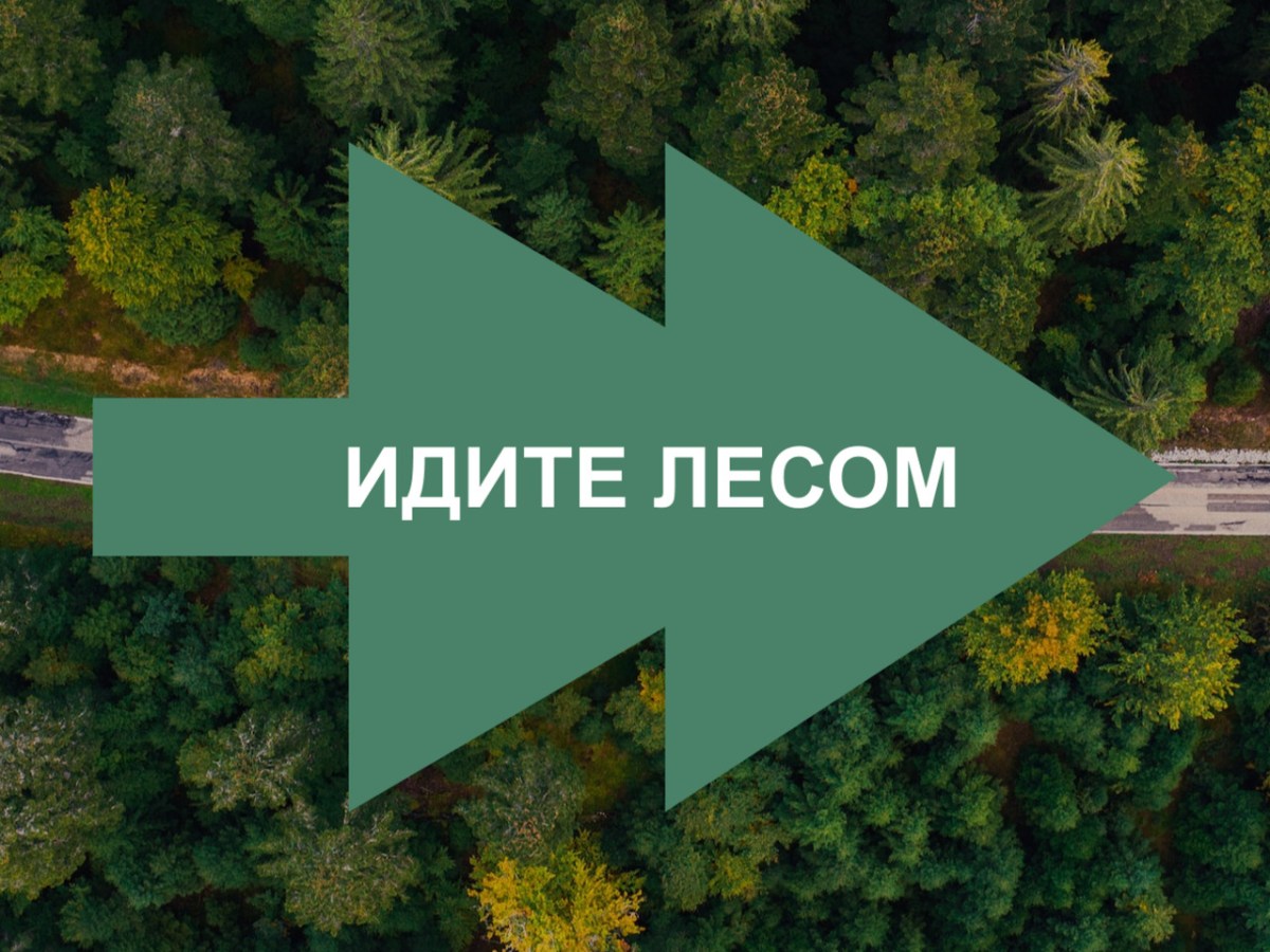 Як російські солдати масово втікають з армії за допомогою групи «Идите лесом»