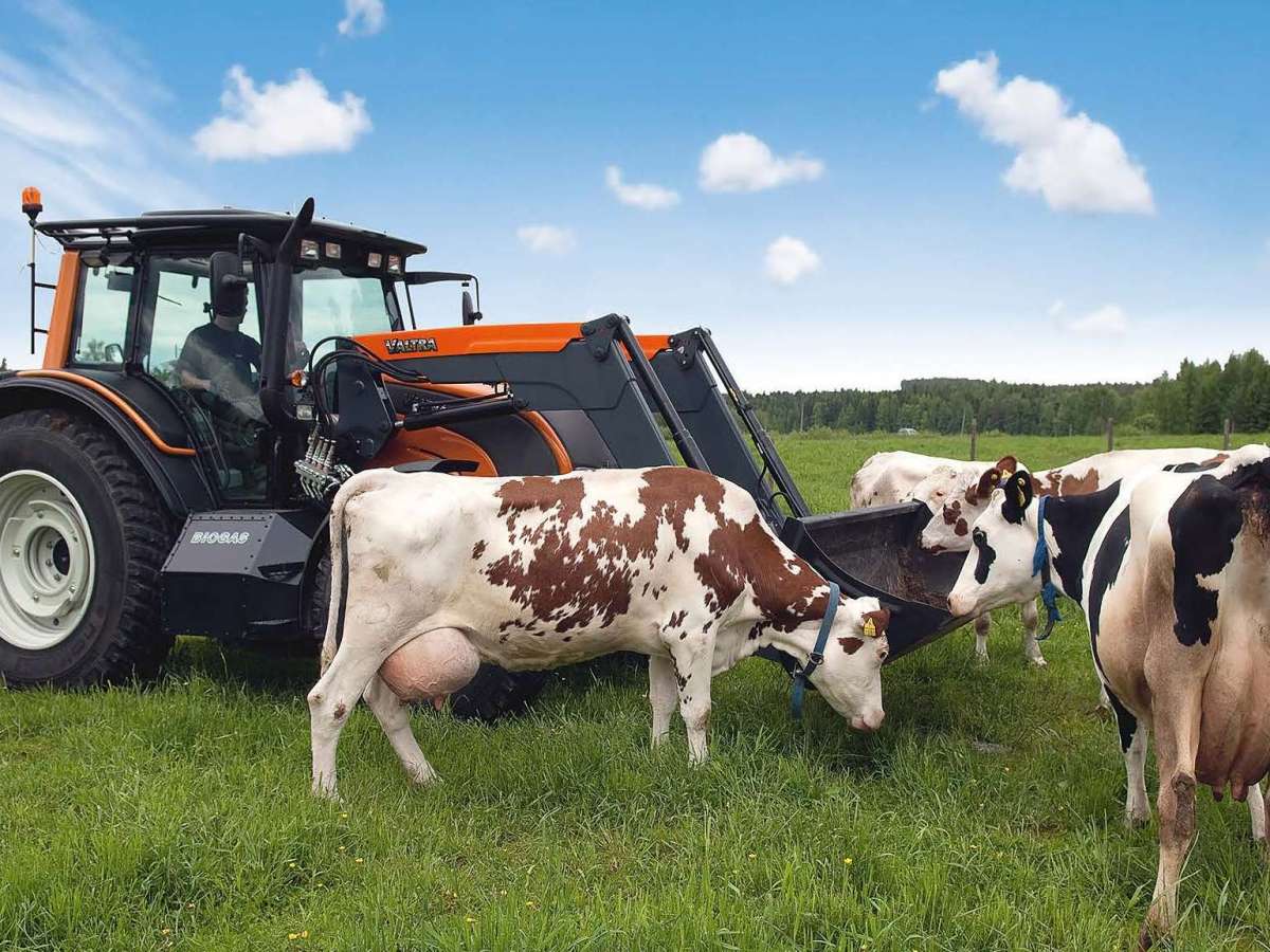 Як вступ України до ЄС збільшить продуктивність сільського господарства у Польщі